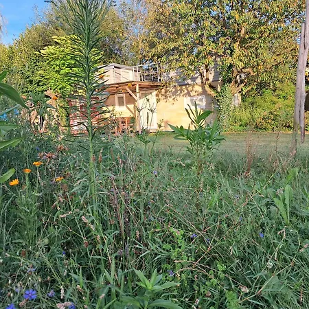 Apartment Modernes Tiny House Ortenau Rheinau